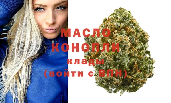 дмт Вяземский