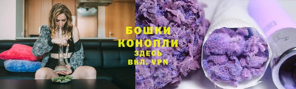 дмт Вяземский