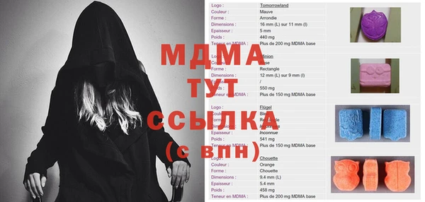 прущие грибы Вязьма