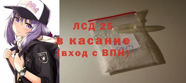 прущие грибы Вязьма