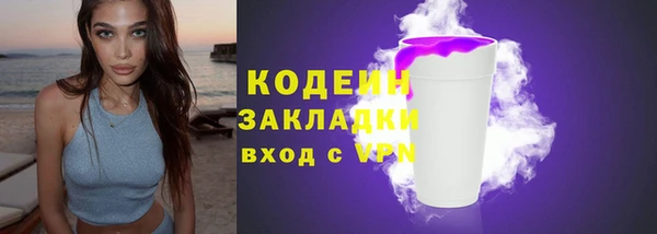 прущие грибы Вязьма