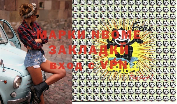 прущие грибы Вязьма